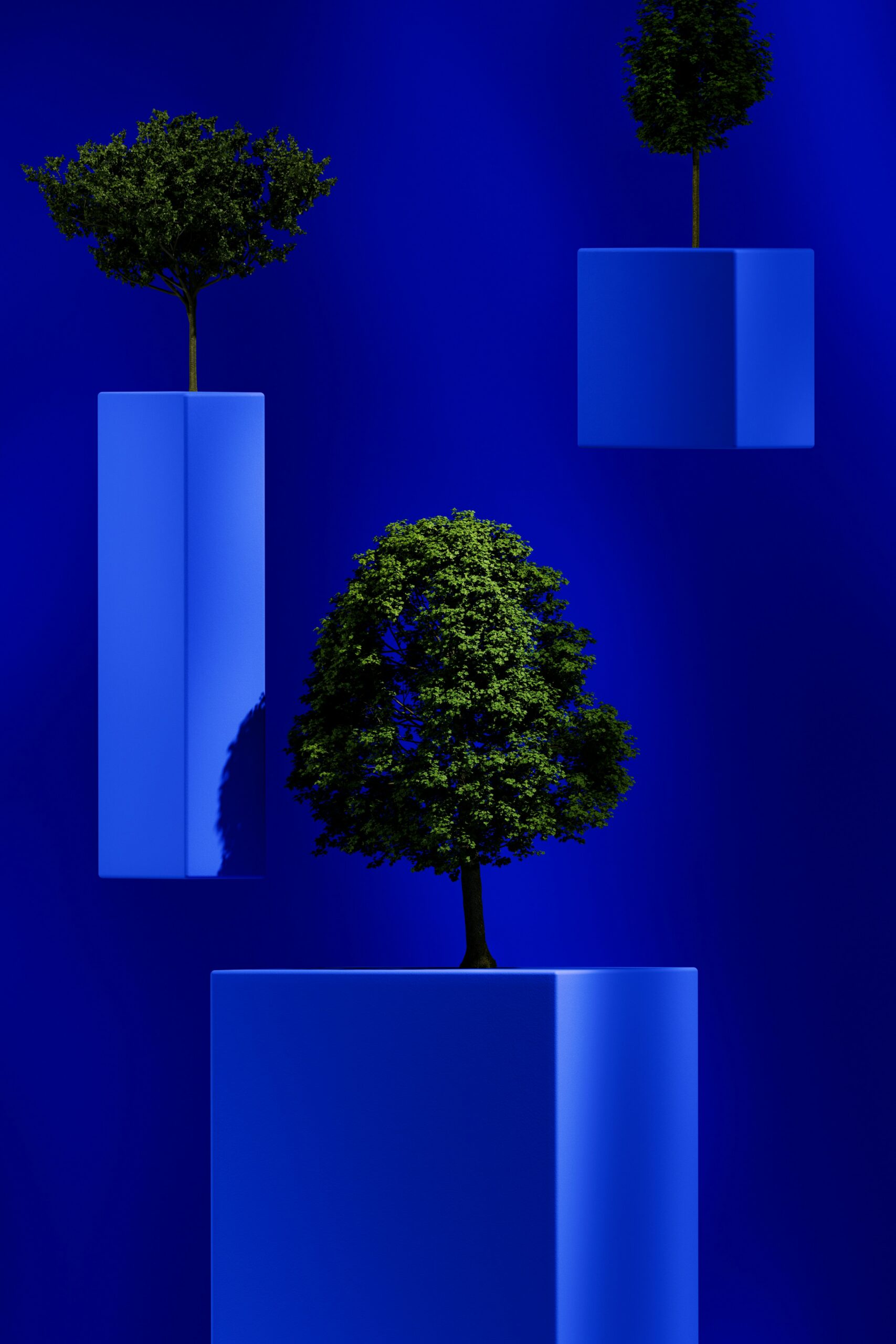 Dilec hanke - laurea, lapin yliopisto