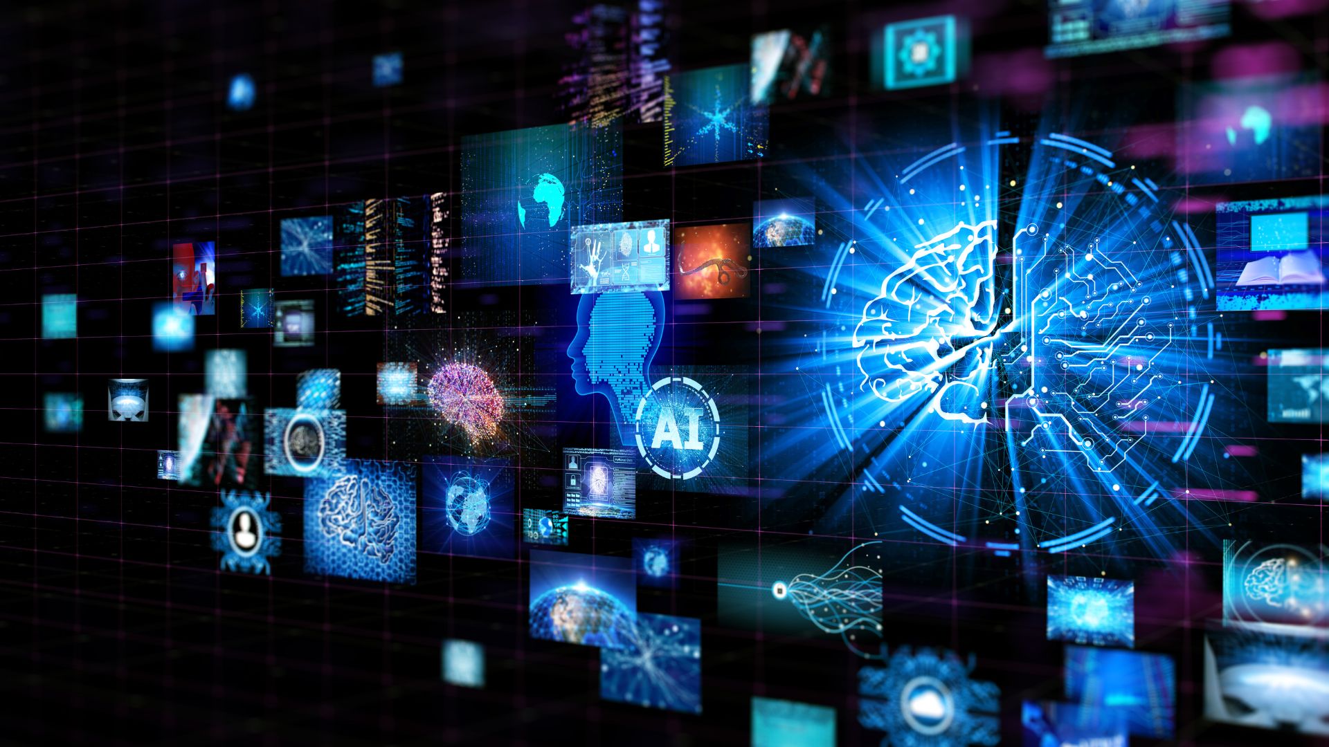 Dilec hanke - laurea, lapin yliopisto