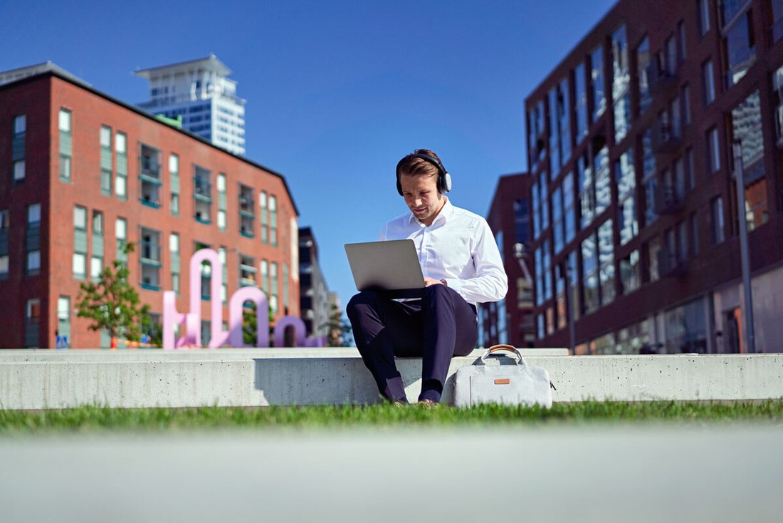 Dilec hanke - laurea, lapin yliopisto